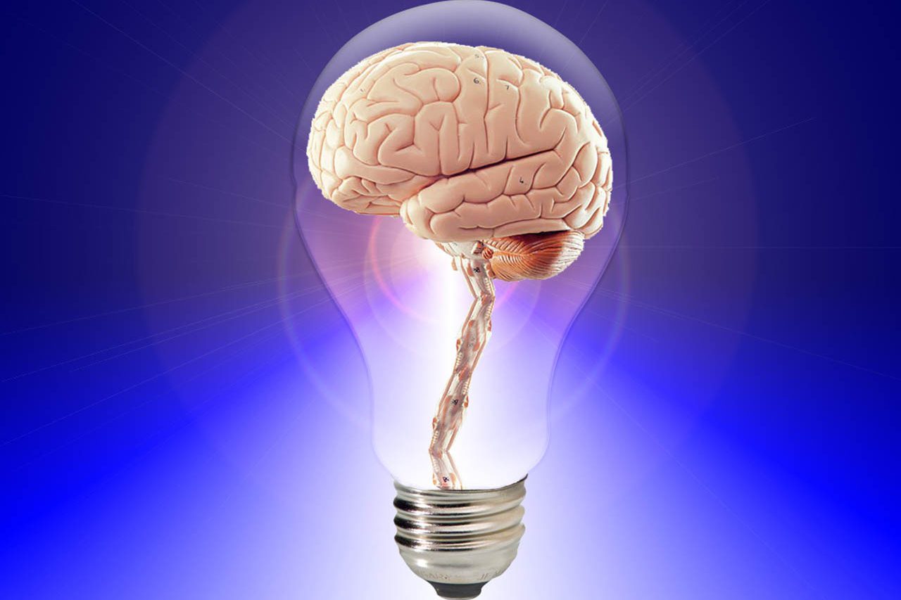 cropped-brain-robertmachielsen.nl_-1.jpg