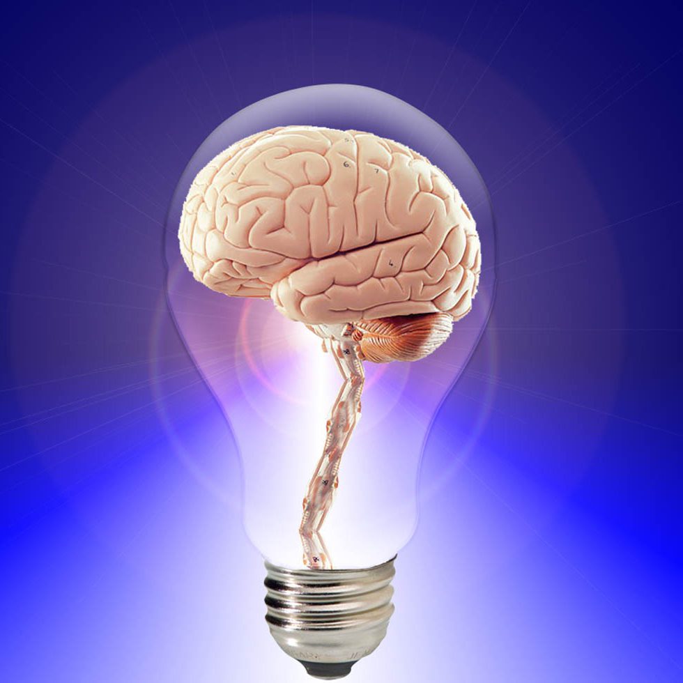 cropped-brain-robertmachielsen.nl_-2.jpg